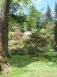 Benmore Garden