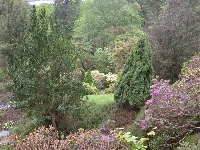 Glenarn Garden