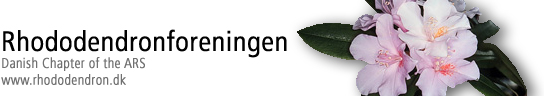 Beskrivelse: Beskrivelse: Danish Logo
