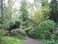  R. Glendoick, Garden