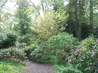  R. Glendoick, Garden