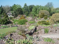 RBGE Garden