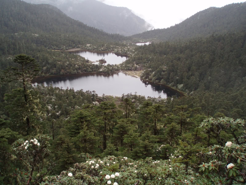 99 Dragon Pool. Foto: Ingolf Bogø