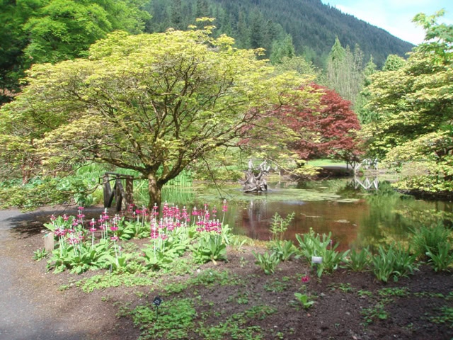 Benmore Garden. Foto: Hans Eiberg