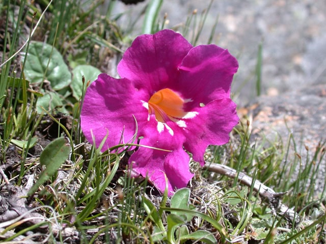 DSCN1744-s