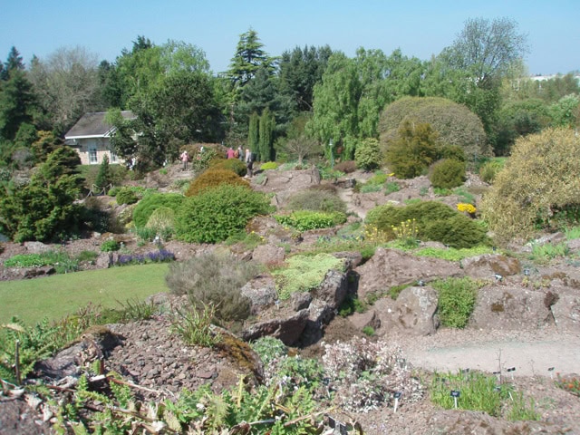 RBGE garden. Foto: Hans Eiberg
