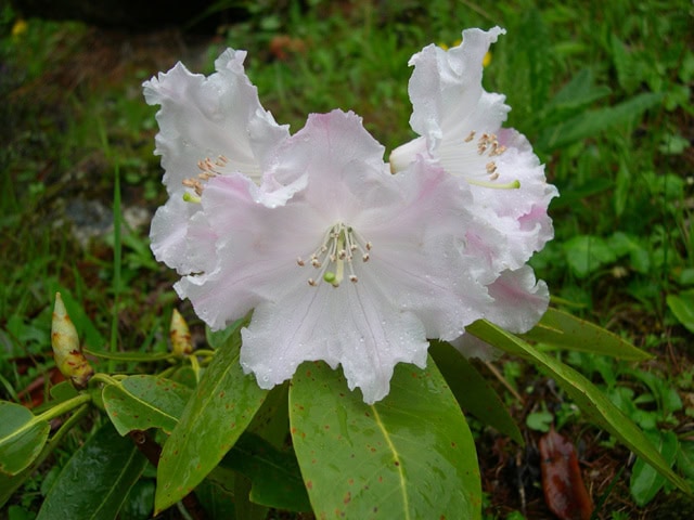 unknown-423