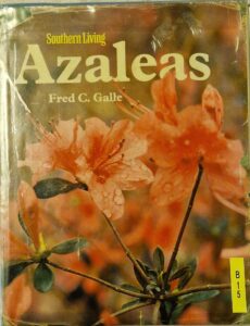 B0015 – Azaleas