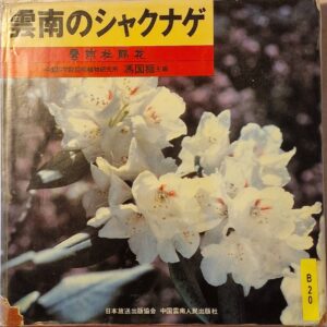 B0020 – Un-nun-no shakunage