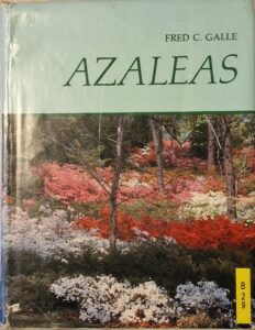 B0029 – Azaleas