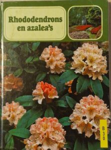 B0030 – Rhododendron en azaleas