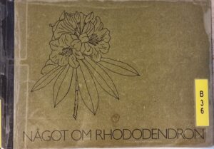 B0036 – Något om Rhododendron