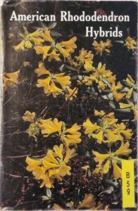 B0059 – American Rhododendron Hybrids