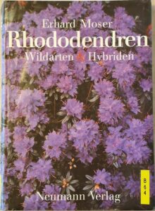 B0064 – Rhododendren – Wildarten & Hybriden