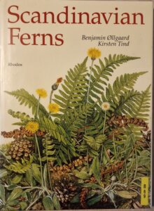 B0069 – Scandinavian Ferns