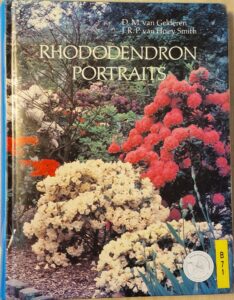 B0071 – Rhododendron Portraits