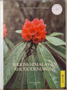 B0073 – Sikkim-Himalayan Rhododendron