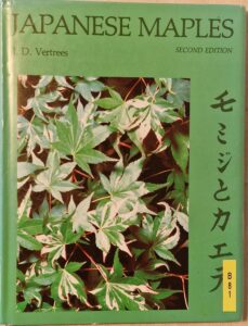 B0081 – Japanese Maples