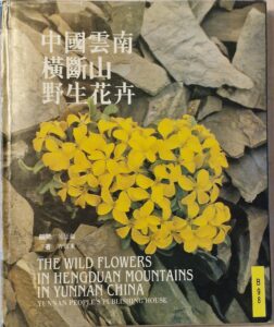 B0098 – The Wild Flowers In Hengduan Mountains In Yunnan China