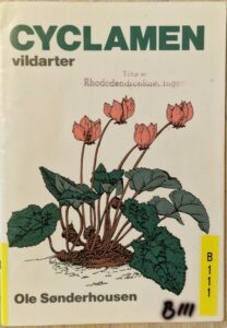 B0111 – Cyclamen vildarter