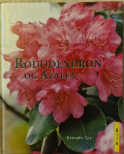 B0116 – Rododendron og Azalea
