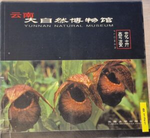 B0121 – Yunnan Natural Museum; Flower