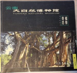 B0122 – Yunnan Natural Museum; Plant