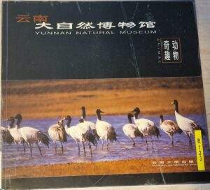 B0123 – Yunnan Natural Museum; Animal