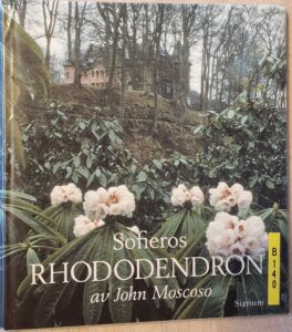 B0140 – Sofieros Rhododendron