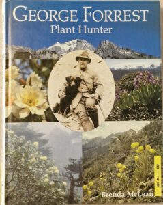 B0146 – George Forrest Plant Hunter