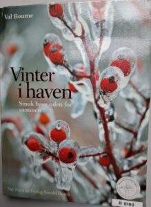 B0180 – Vinter i haven – smuk have udenfor sæsonen