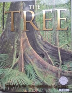 B0181 – The Tree – Wonder of natural world