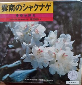 B0198 – Rhododendron of Yunnan