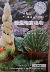 B0221 – The Wild Ornamental Plants in the Three Parallel Rivers