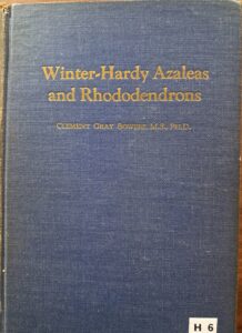 H06 – Winter hardy azaleas and rhododendron