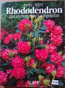 H22 – Rhododendron und Immergrüne laubgehölze