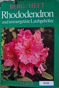H23 – Rhododendron und Immergrüne Laubgehölze