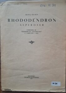 H24 – Rhododendron – Alperoser