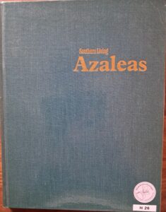 H26 – Southern Living Azales