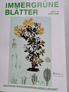 B0006 – Rhododendron und immergrüne Laubgehölze.