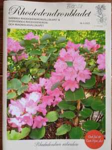 B0028 – Rhododendronbladet