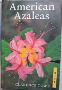 B0158 – American Azaleas