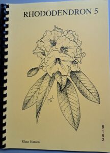B0162 – Rhododendron 5