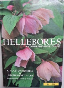 B0175 – Hellebores A Comprehensive Guide
