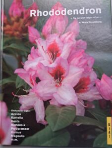 B0161 – Rhododendron. Og det der følger efter