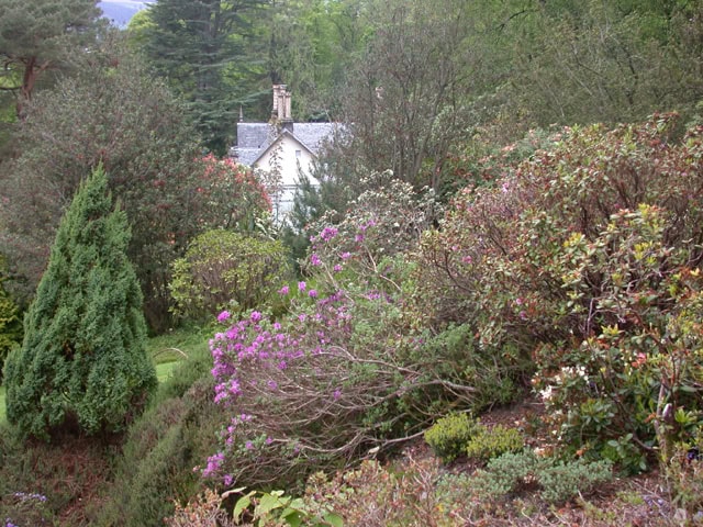 Glenarn-Garden-3