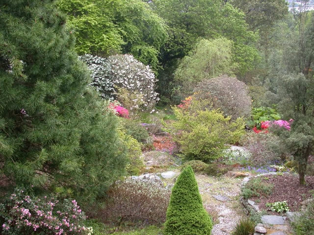Glenarn-Garden-4